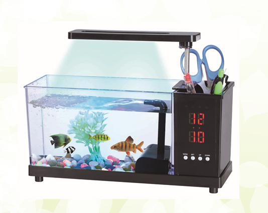 時(shí)尚迷你魚缸