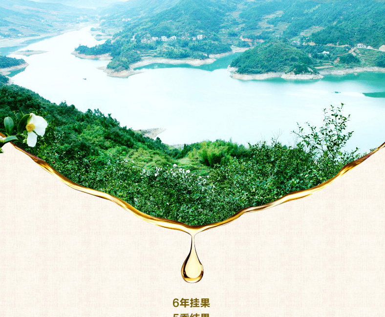 壓榨一級山茶油1.45L*2禮盒