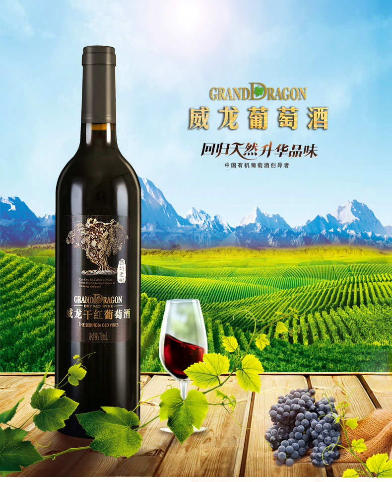 威龍西域老樹干紅葡萄酒
