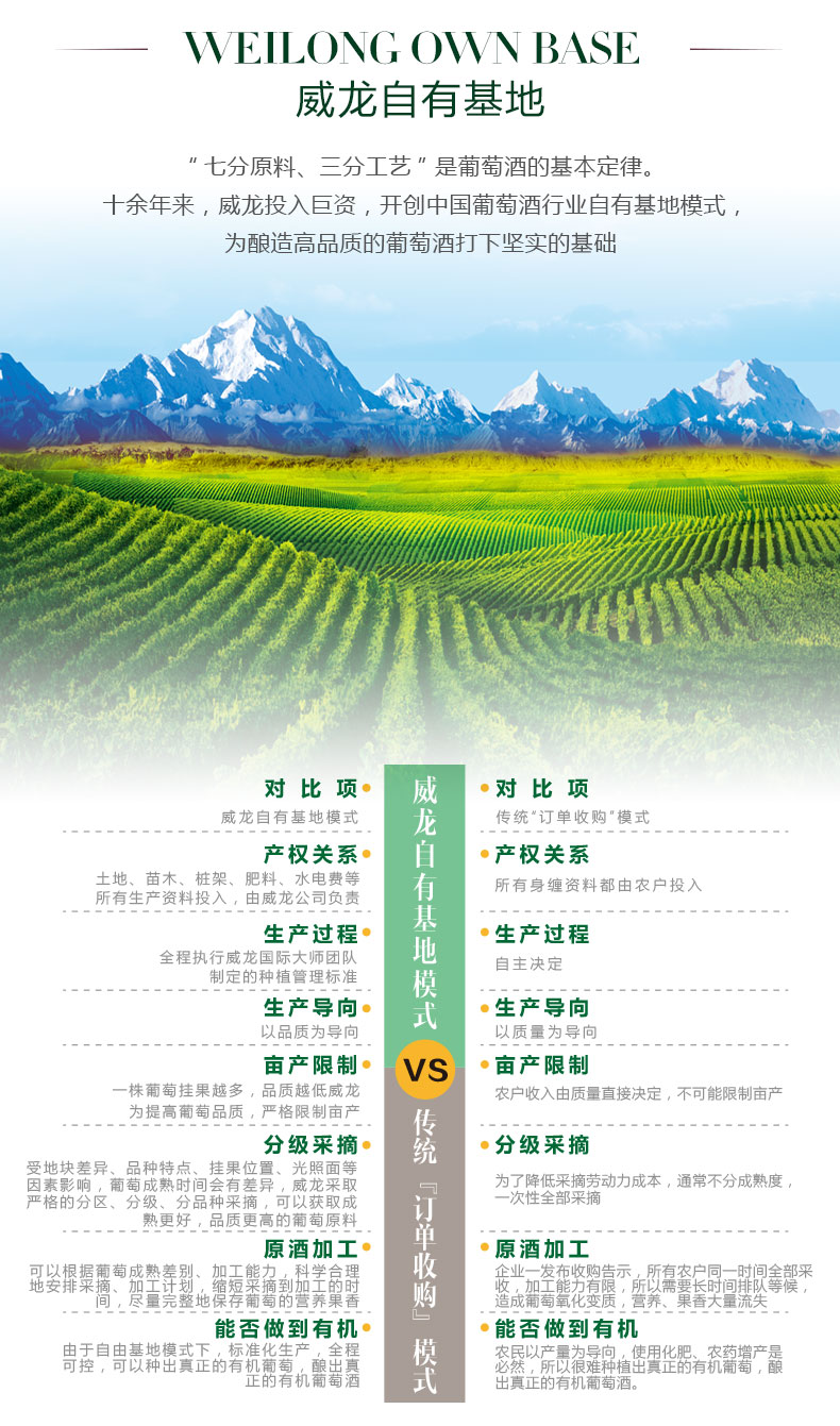 威龍西域老樹干紅葡萄酒