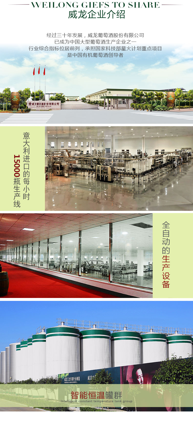 威龍西域老樹干紅葡萄酒