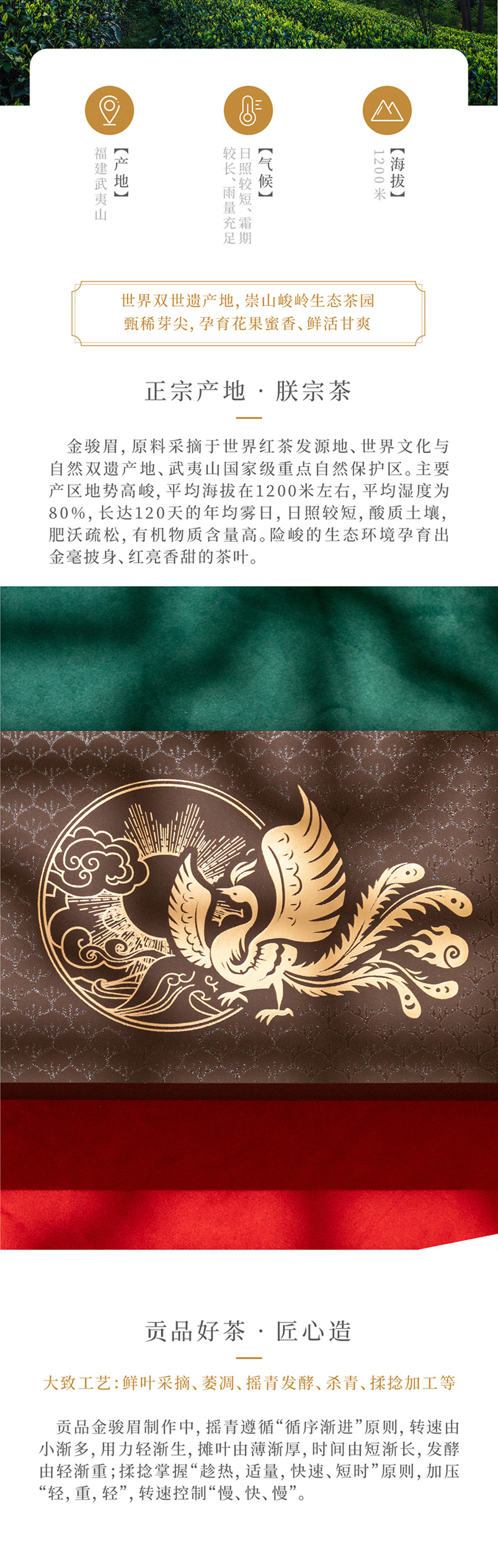 朕宗茗茶 金駿眉